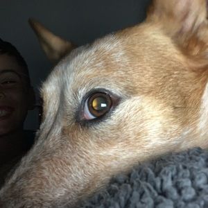 Meet your Posher, Serena